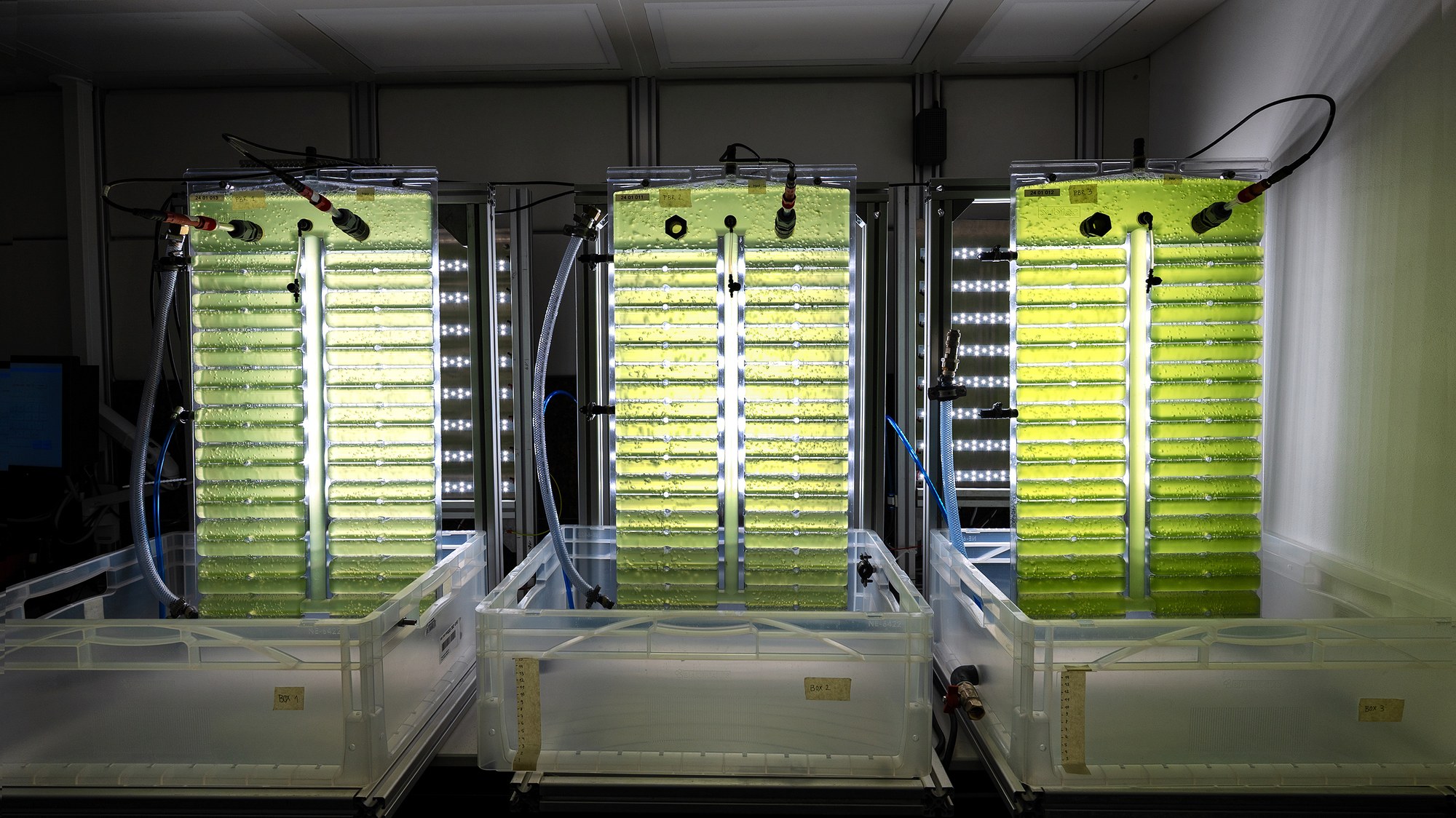 Die Photobioreaktor-Anlage