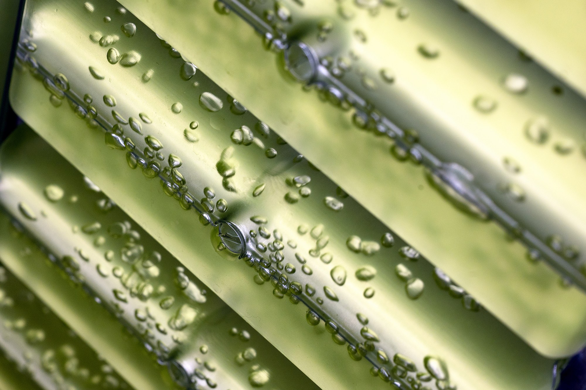 Luftblasen im Photobioreaktor