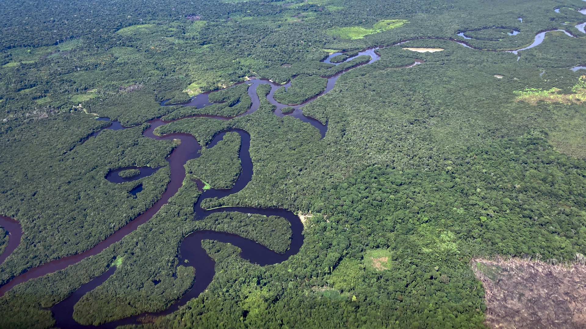 Der Blick aus dem Cockpit während der Klimakampagne CAFE-Brazil