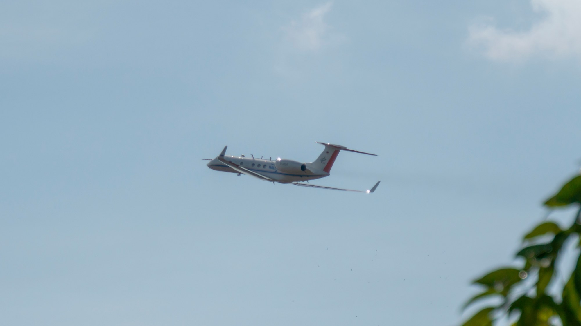 Sandrine Battesti - HALO