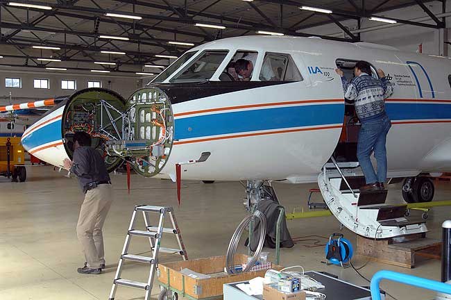 Falcon