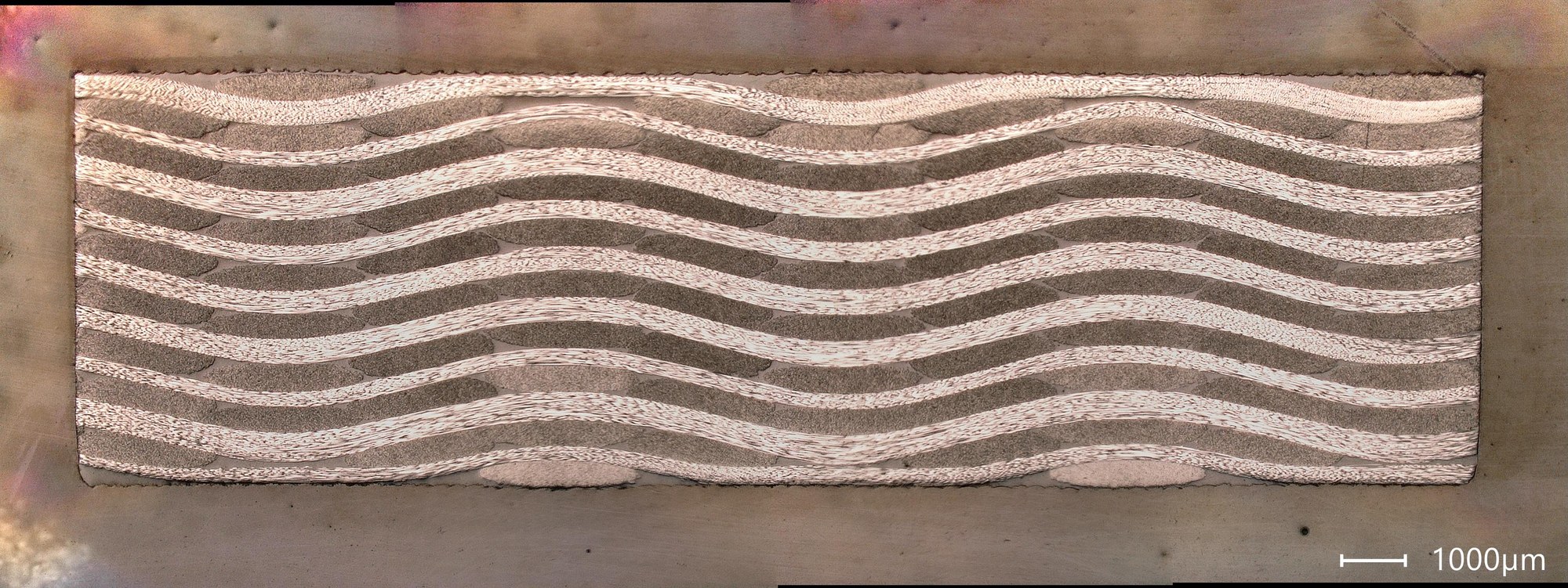 Schliffbilder von 3D infiltrierten Gewebeproben
