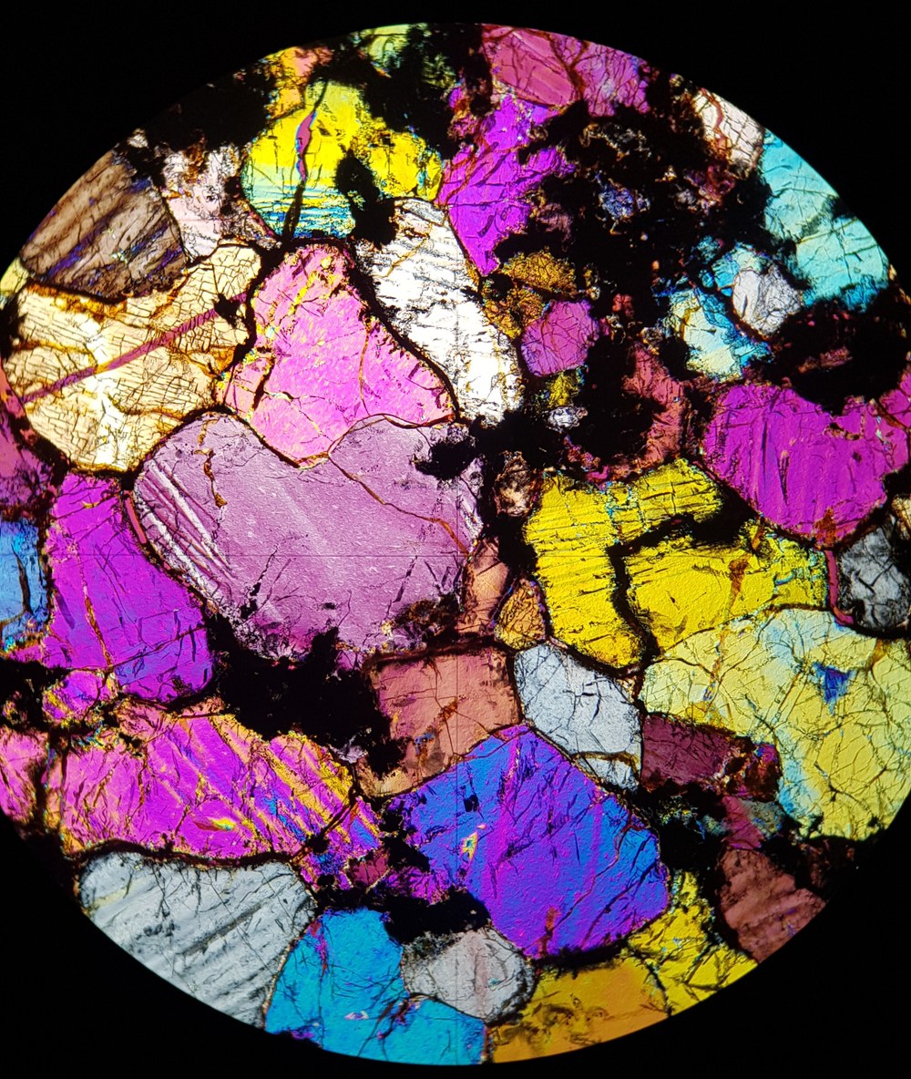 Girls' Day 2022- Eintauchen in unbekannte Welten