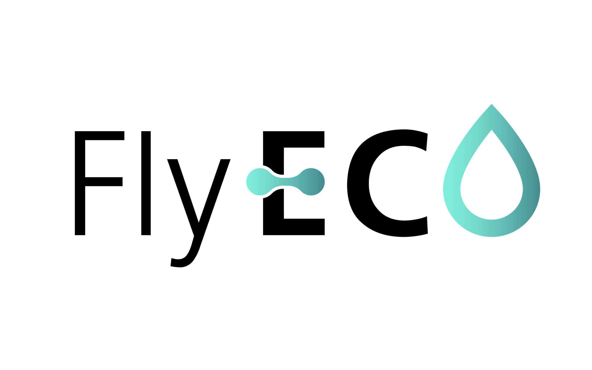 Logo des EU-Projektes FlyECO - Schriftzug mit grafischen Elementen