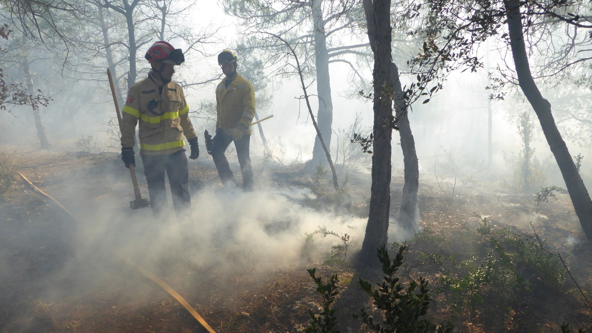 Feuerwehrleute an einer gelöschten Waldbrandfläche