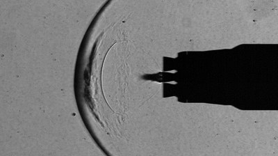 Strömungsfeld während der Wiedereintrittszündung (engl. Reentry-Burn) mit einem Triebwerk bei fünffacher Schallgeschwindigkeit.