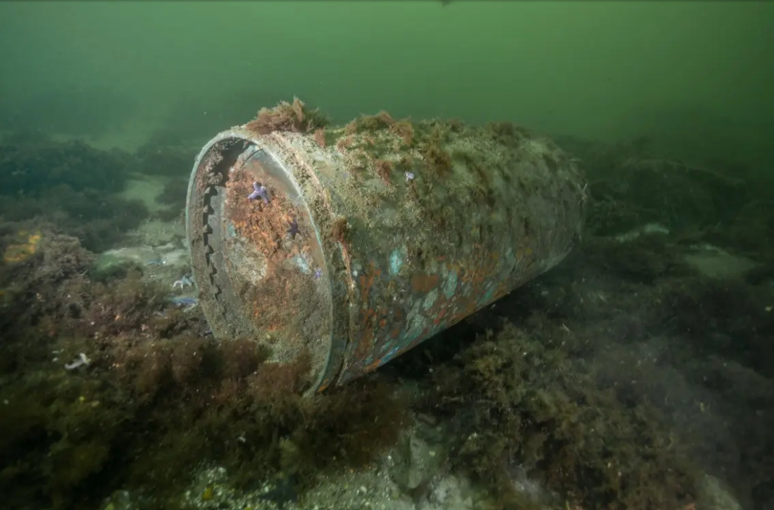 Kampfmittel am Meeresboden: ein Torpedokopf in der Ostsee.