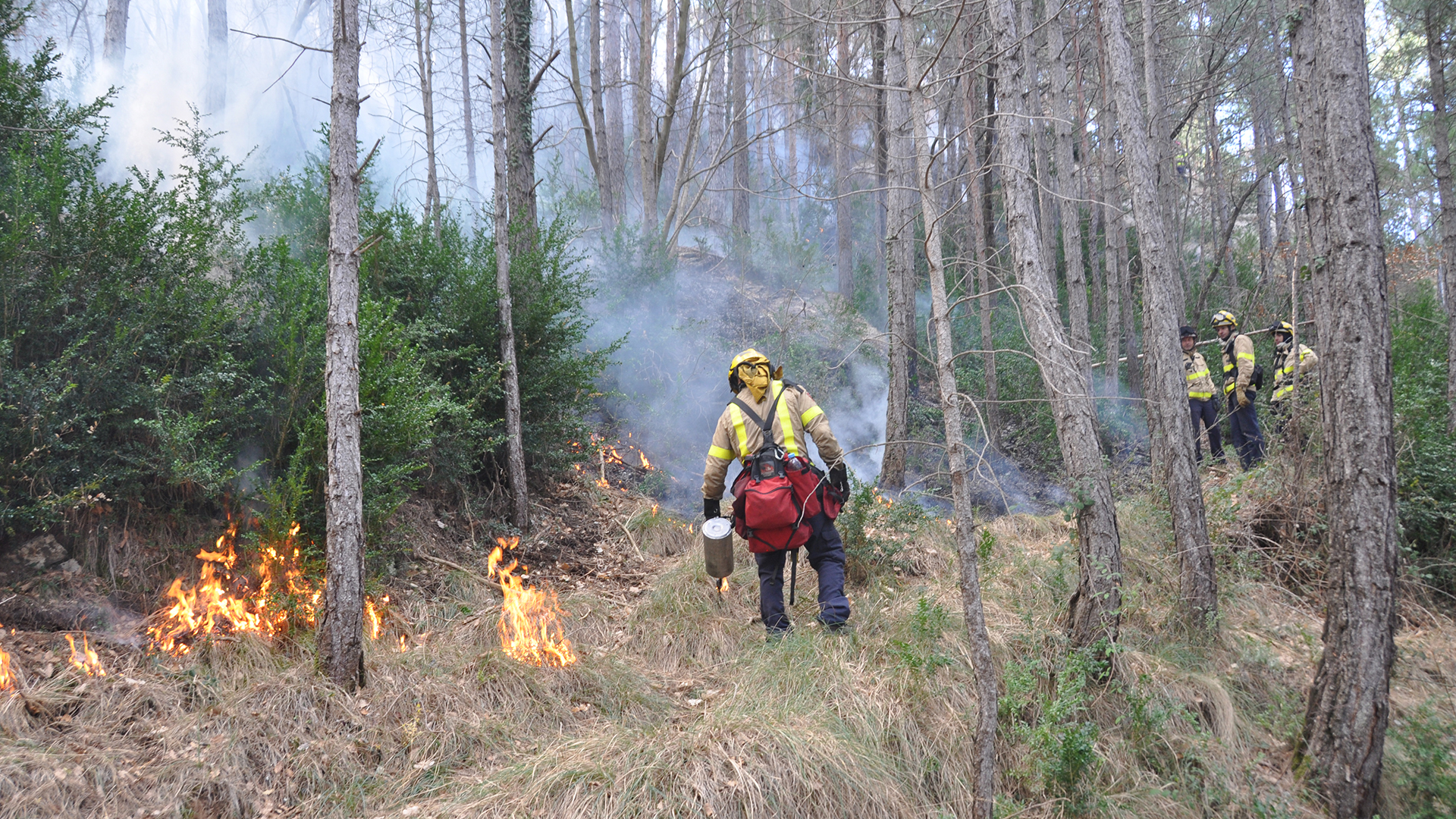 Pharos - Waldbrand unter Kontrolle
