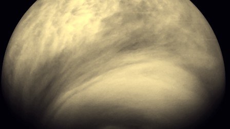 Die Venus