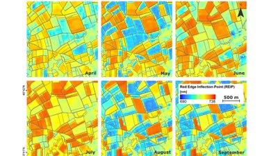 Bilder zeigen, wie sich landwirtschaftliche Felder über mehrere Monate hinweg verändern.