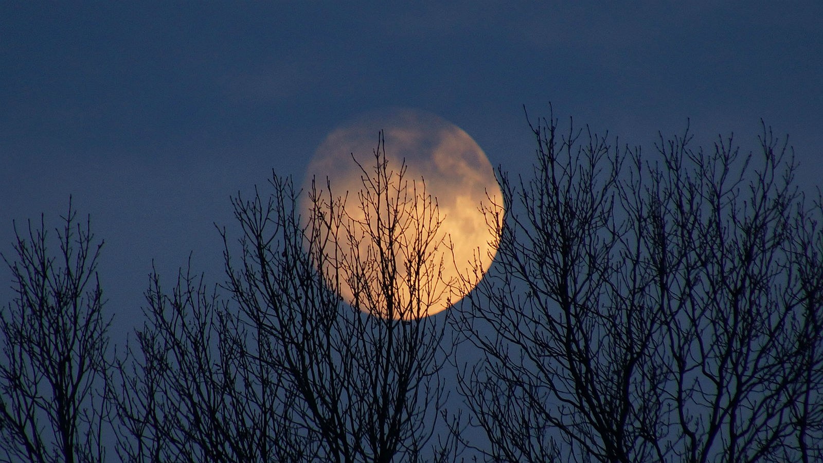 Mond am Nachthimmel