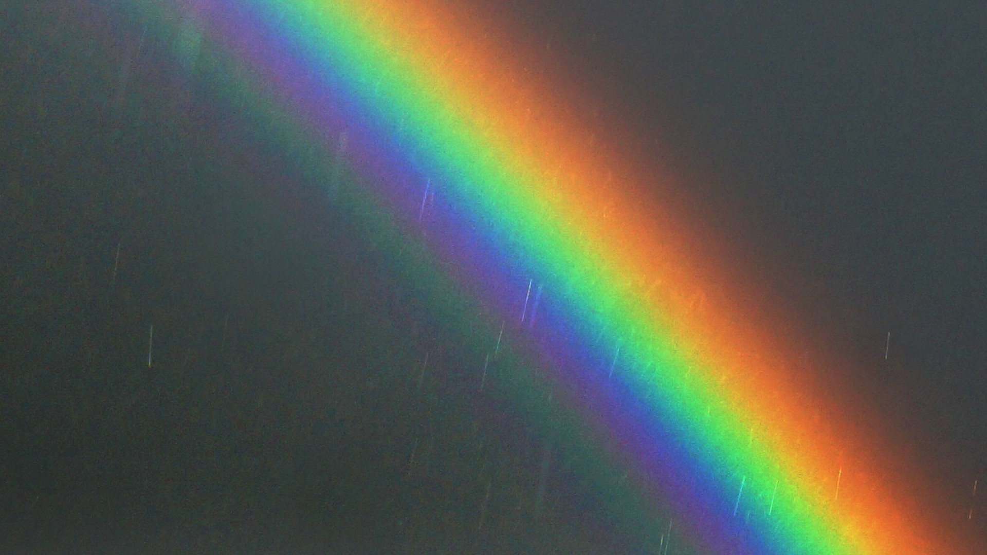 Ein Regenbogen: Durch die Art und Weise, wie die Regentropfen das Sonnenlicht reflektieren, wird es in seine Bestandteile zerlegt. So sieht man die einzelnen Farben, aus denen sich das weiße Licht zusammensetzt.