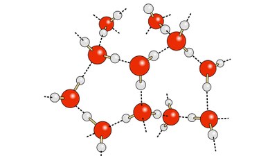 Wasserstoffbrückenbindungen Wasser