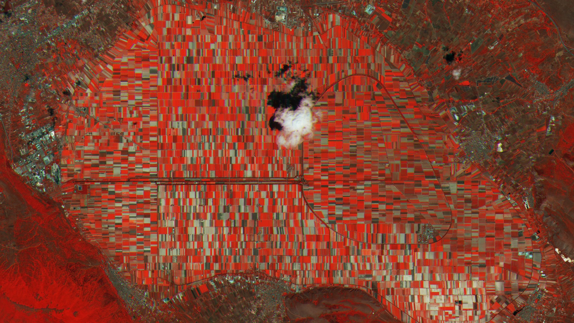 Landwirtschaftlich genutzte Felder in den italienischen Abruzzen