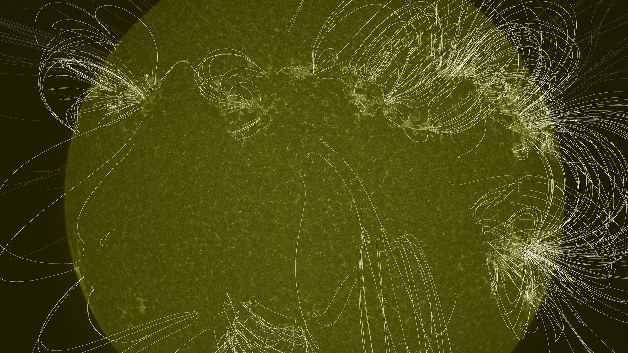 Magnetfeldlinien der Sonne