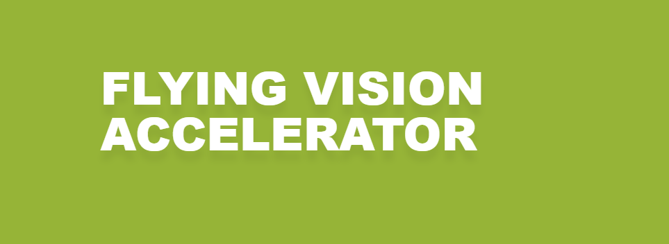 Flying Vision Accelerator