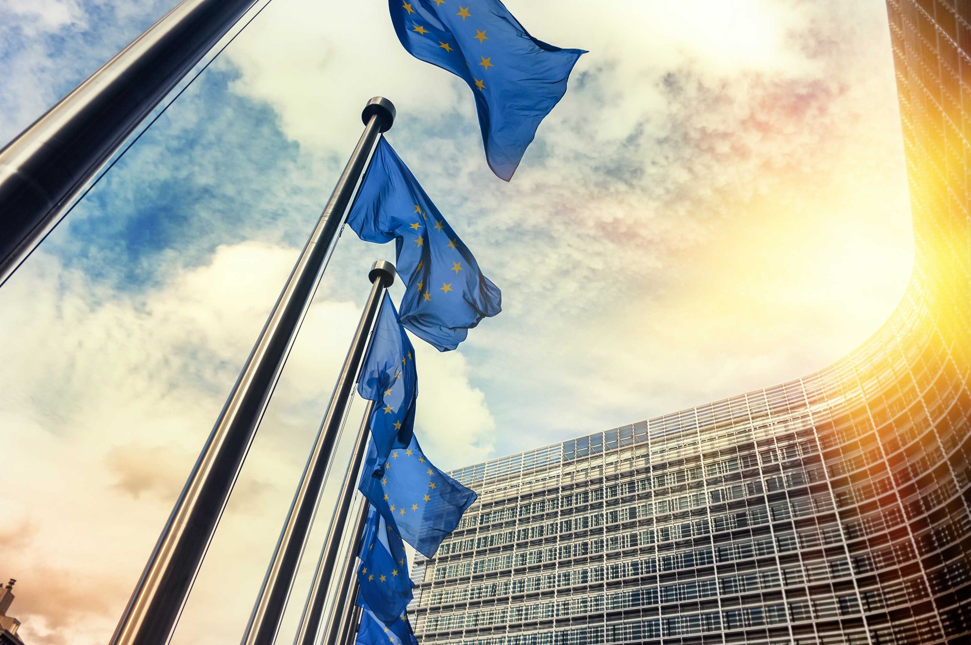 Schmuckbild: EU-Flaggen in Brüssel