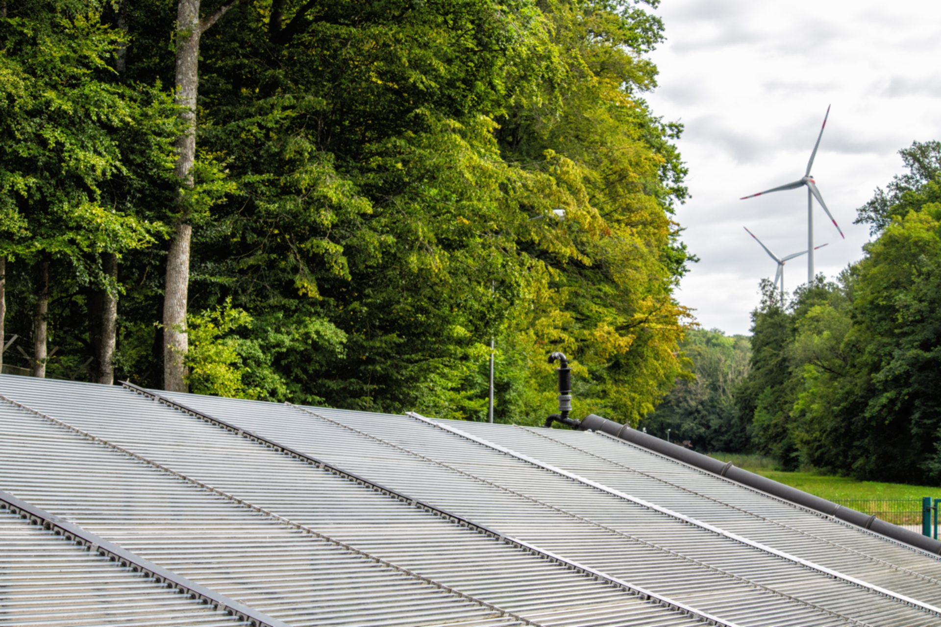 Das Bild zeigt die Solare Abwasserreinigungsanlage.