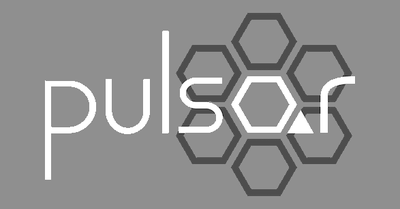 pulsar logo 2019