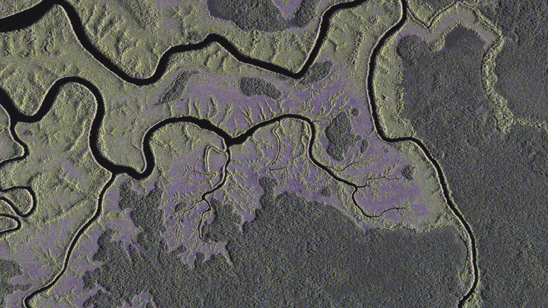 Radaraufnahmen des Satelliten TerraSAR-X von Regenwaldflächen in Gabun