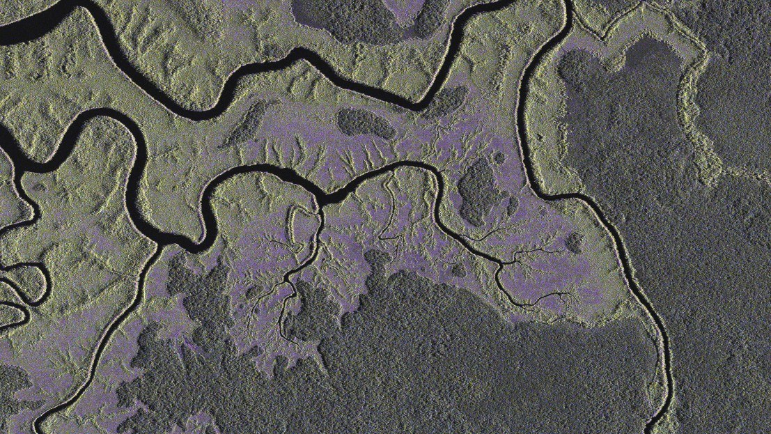 Radaraufnahmen des Satelliten TerraSAR-X von Regenwaldflächen in Gabun