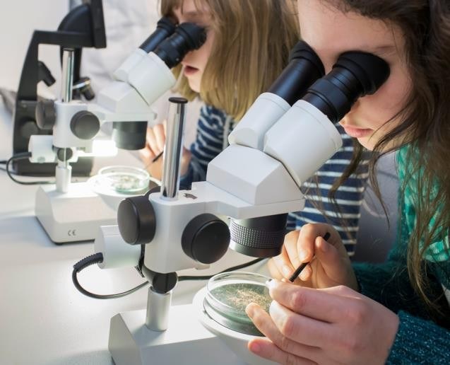 Nachwuchsforschende am Mikrokop