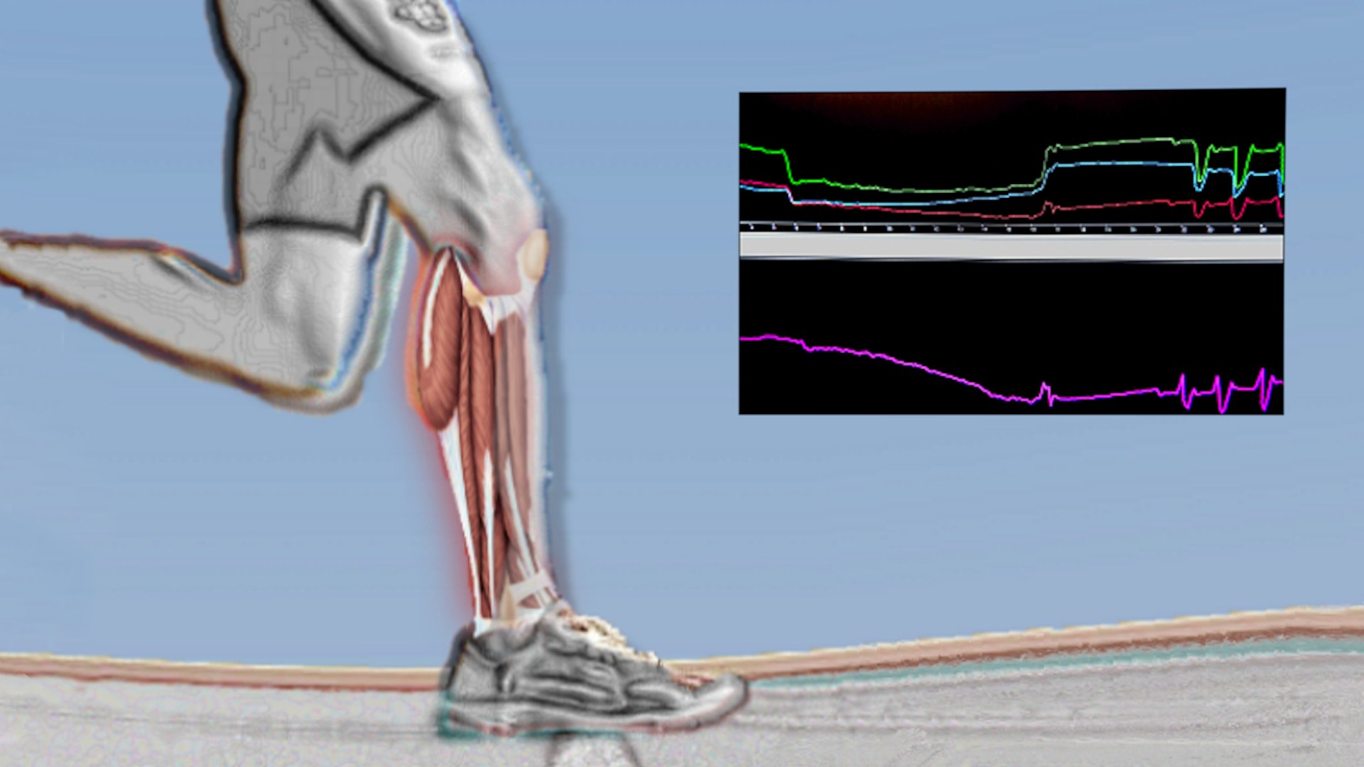 Near Infrared Spectroscop