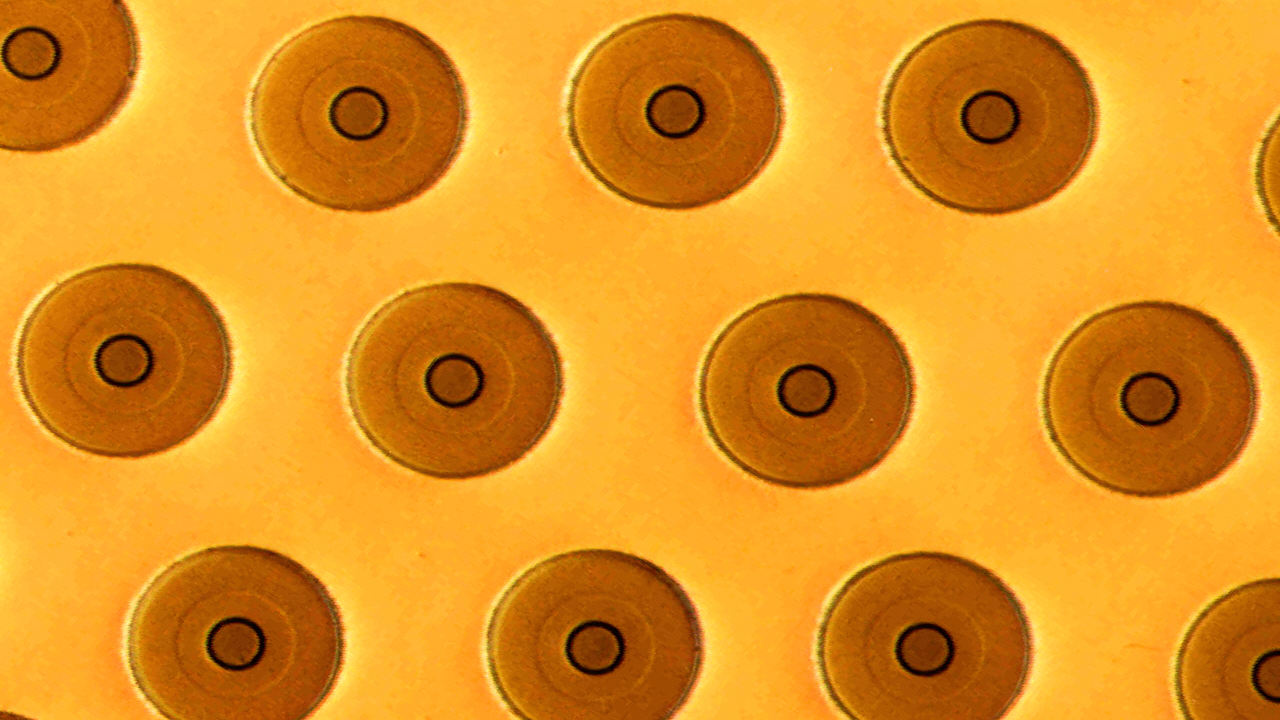 Falschfarbenbild von Keramikfasern eingebettet in eine Titanlegierung