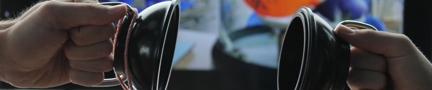 Banner DSL Neustrelitz