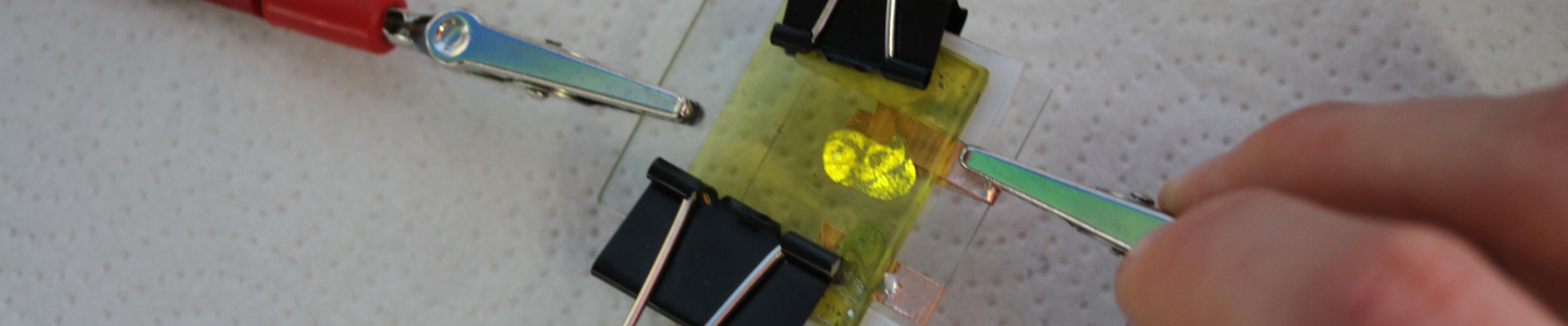 Banner DSL TU Dresden