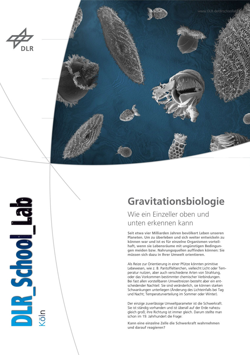 Titelbild Experimentbeschreibung Gravitationsbiologie