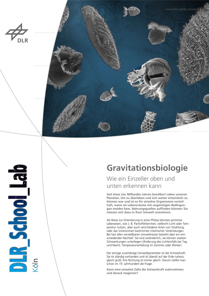 Titelbild Experimentbeschreibung Gravitationsbiologie