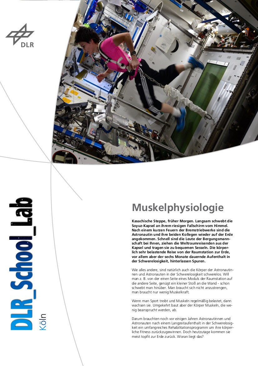 Titelbild Experimentbeschreibung Muskelphysiologie
