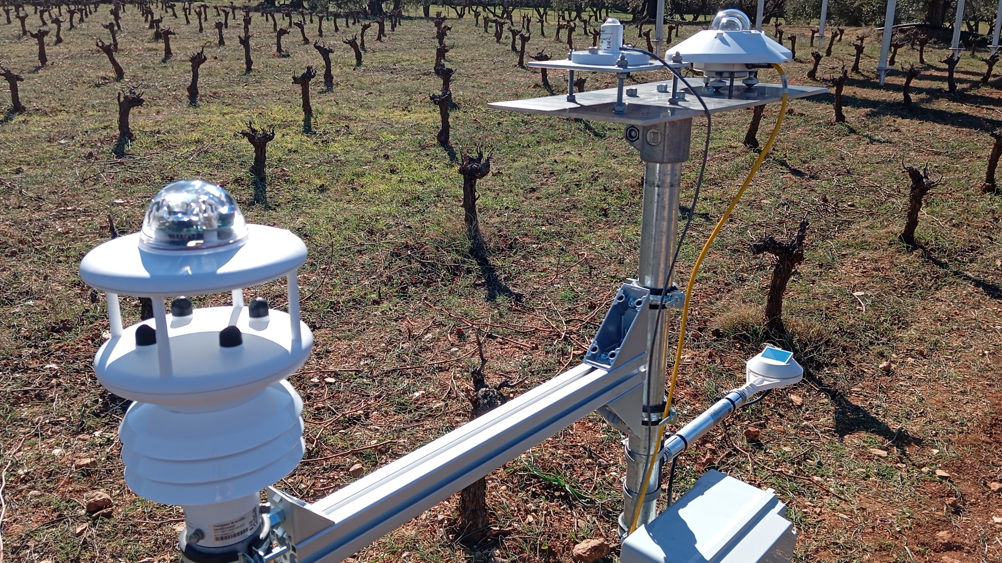 Meteorologische Sensoren zur Überwachung des Mikroklimas innerhalb und außerhalb der Agrivoltaikanlage.