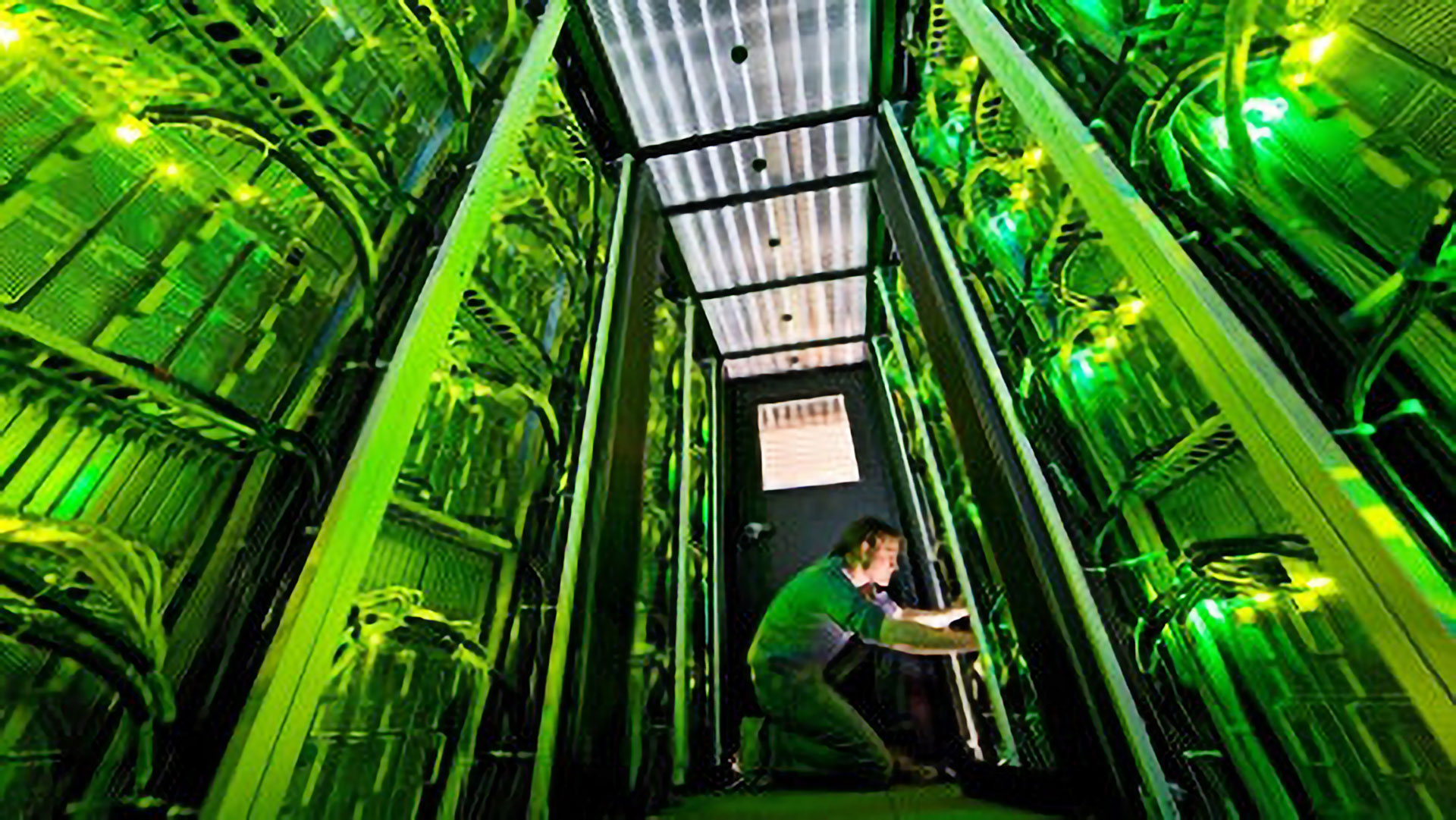 Bild einer Serverfarm