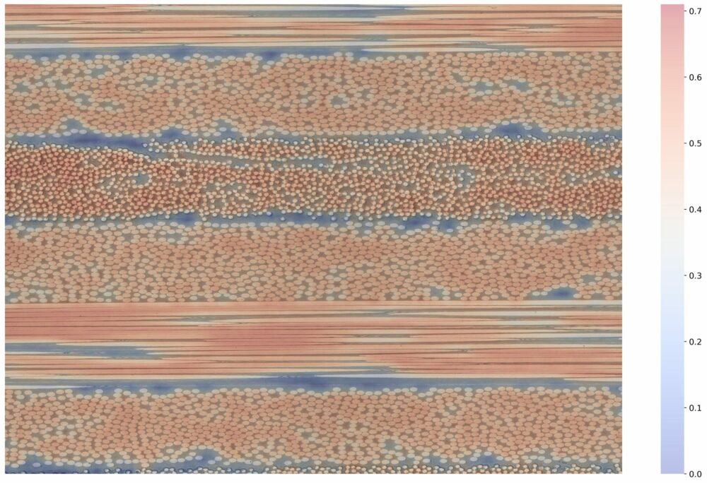 Heatmap auf einer Microskopaufnahme mit Faserverteilung