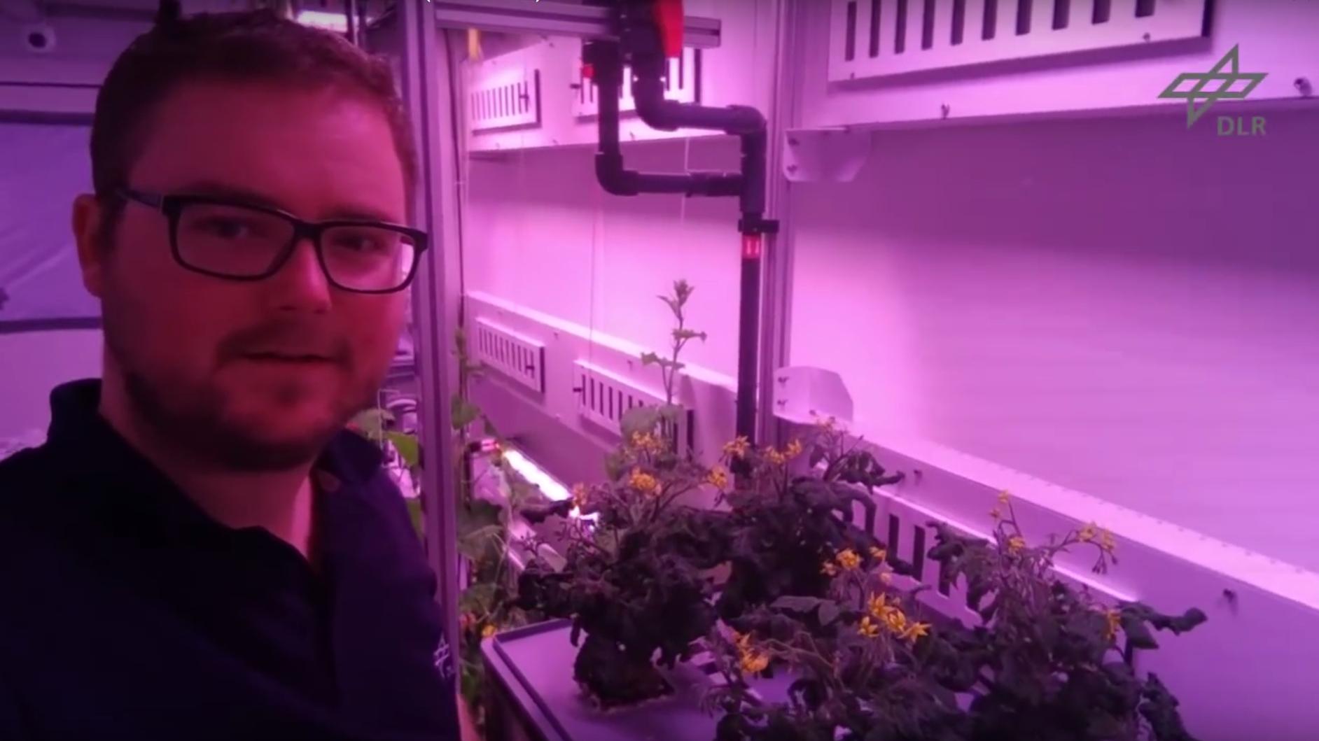 Startbild – Video: Einblick in das Antarktis-Gewächshaus (27.3.2018)