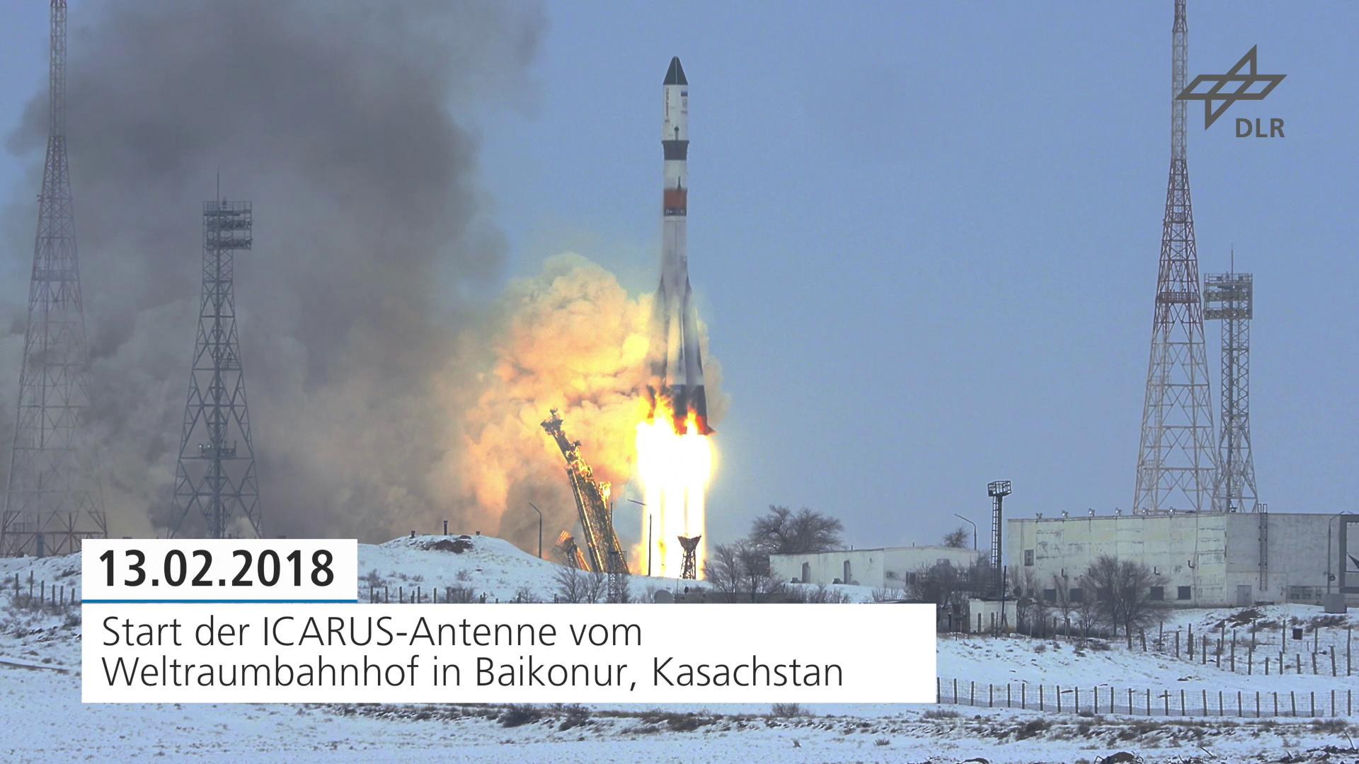 DLR - Startbild - Video: Trailer - Tierbeobachtung aus dem All - ICARUS