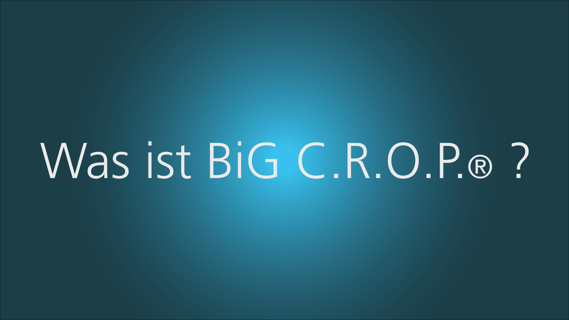 Standbild: Projektleiter Tim Paulke erklärt BiG C.R.O.P®