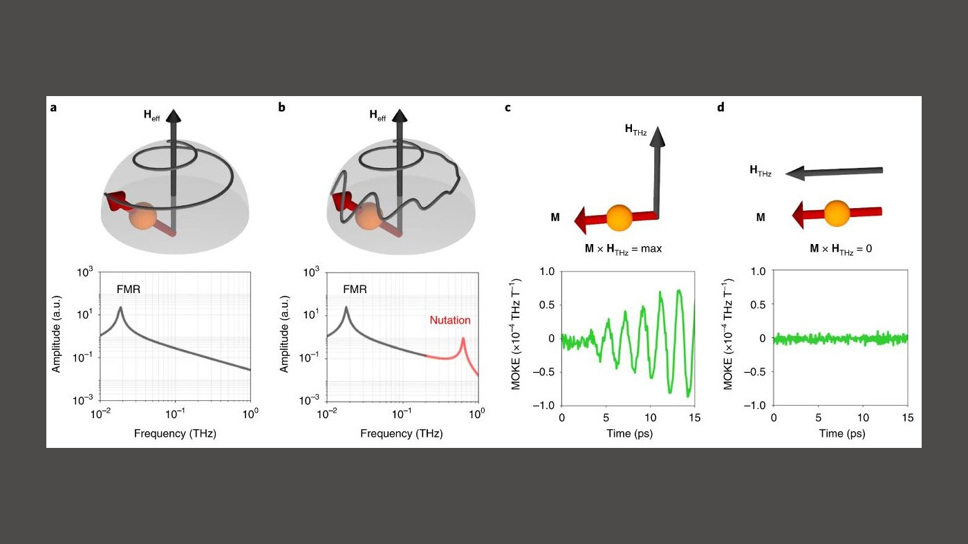 Inertial spin dynamics in ferromagnets  Author: Kumar Neeraj et al Publication: Nature Physics Publisher: Springer Nature Date: Sep 28, 2020 Copyright © 2020, The Author(s), under exclusive licence to Springer Nature Limited