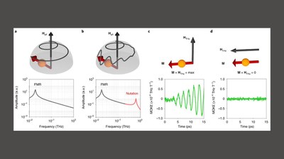 Inertial spin dynamics in ferromagnets Author: Kumar Neeraj et al Publication: Nature Physics Publisher: Springer Nature Date: Sep 28, 2020 Copyright © 2020, The Author(s), under exclusive licence to Springer Nature Limited