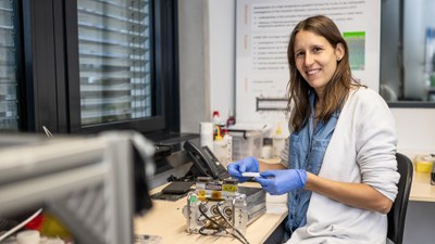 “That I may perceive whatever holds the world together in its inmost folds.” - The materials scientist wants to understand the processes in the materials.