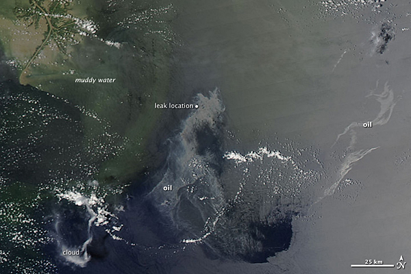 Satellitenbild vom Ölteppich im Golf von Mexico am 14. Juli 2010. Bild: NASA