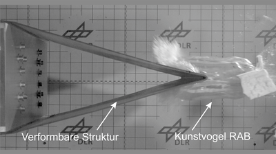 High speed impact test with a substitute bird