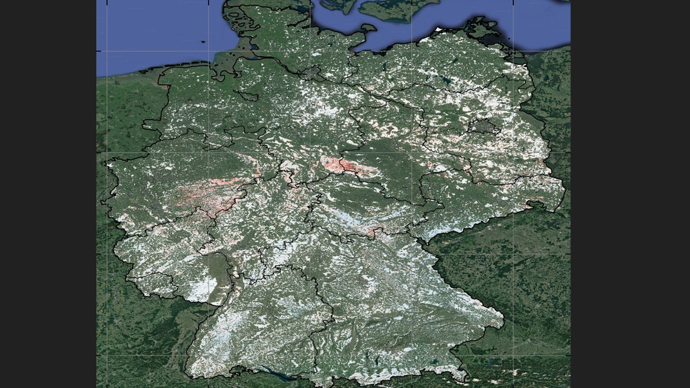 First consistent forest structure survey for Germany from 2017 to 2022