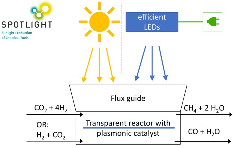 Diagram of the SPOTLIGHT experimental setup