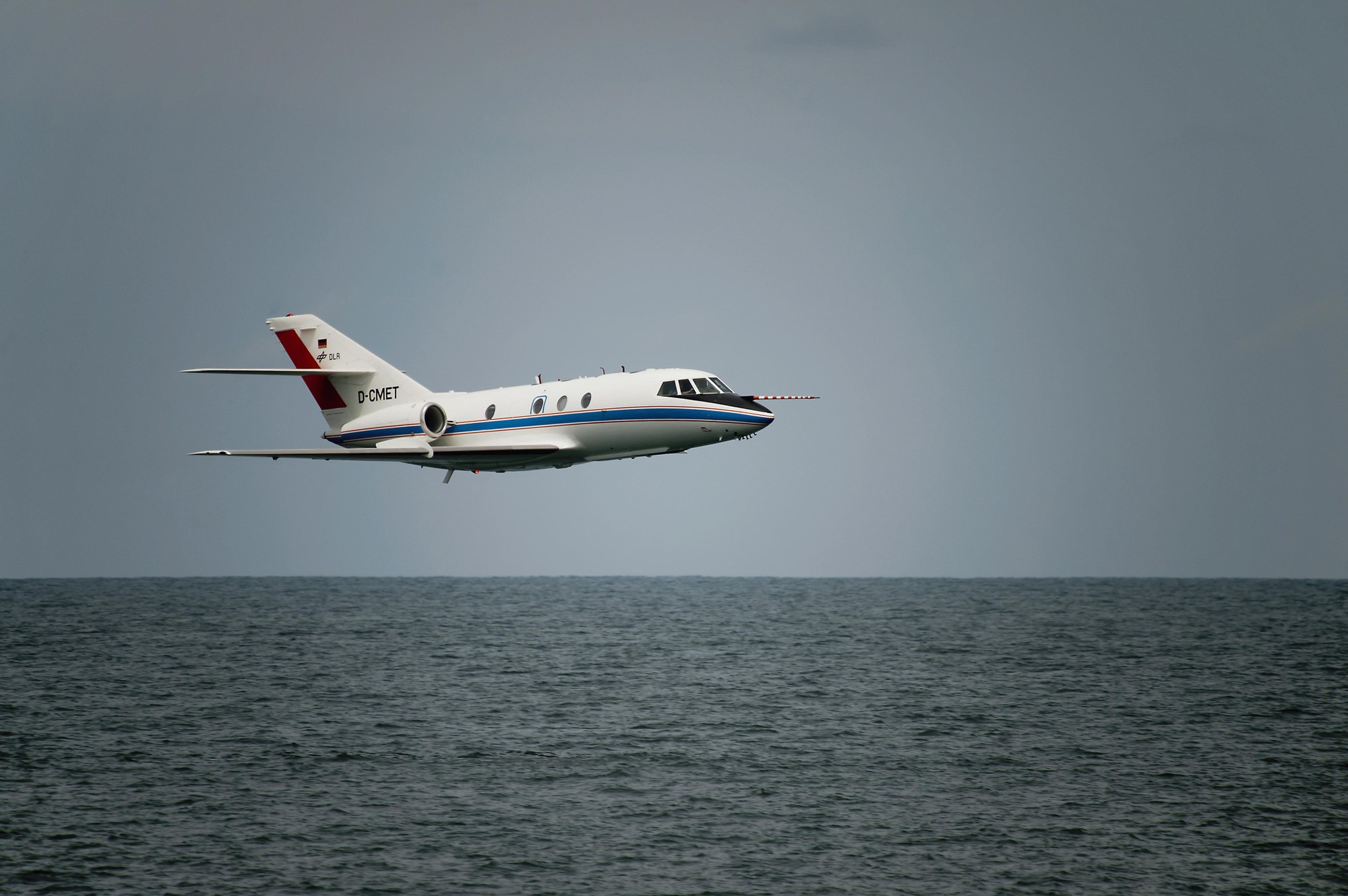 Falcon flying at low level