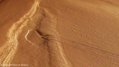 Perspective view of a portion of Gordii Dorsum