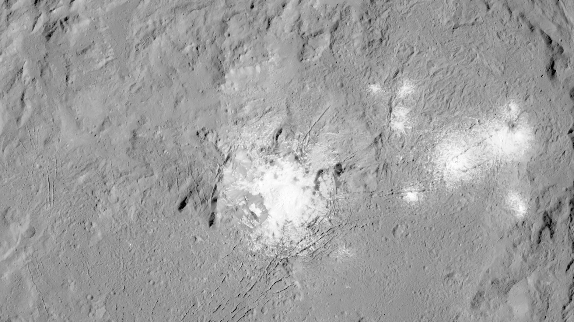 Cracks and bright spots in the Occator crater