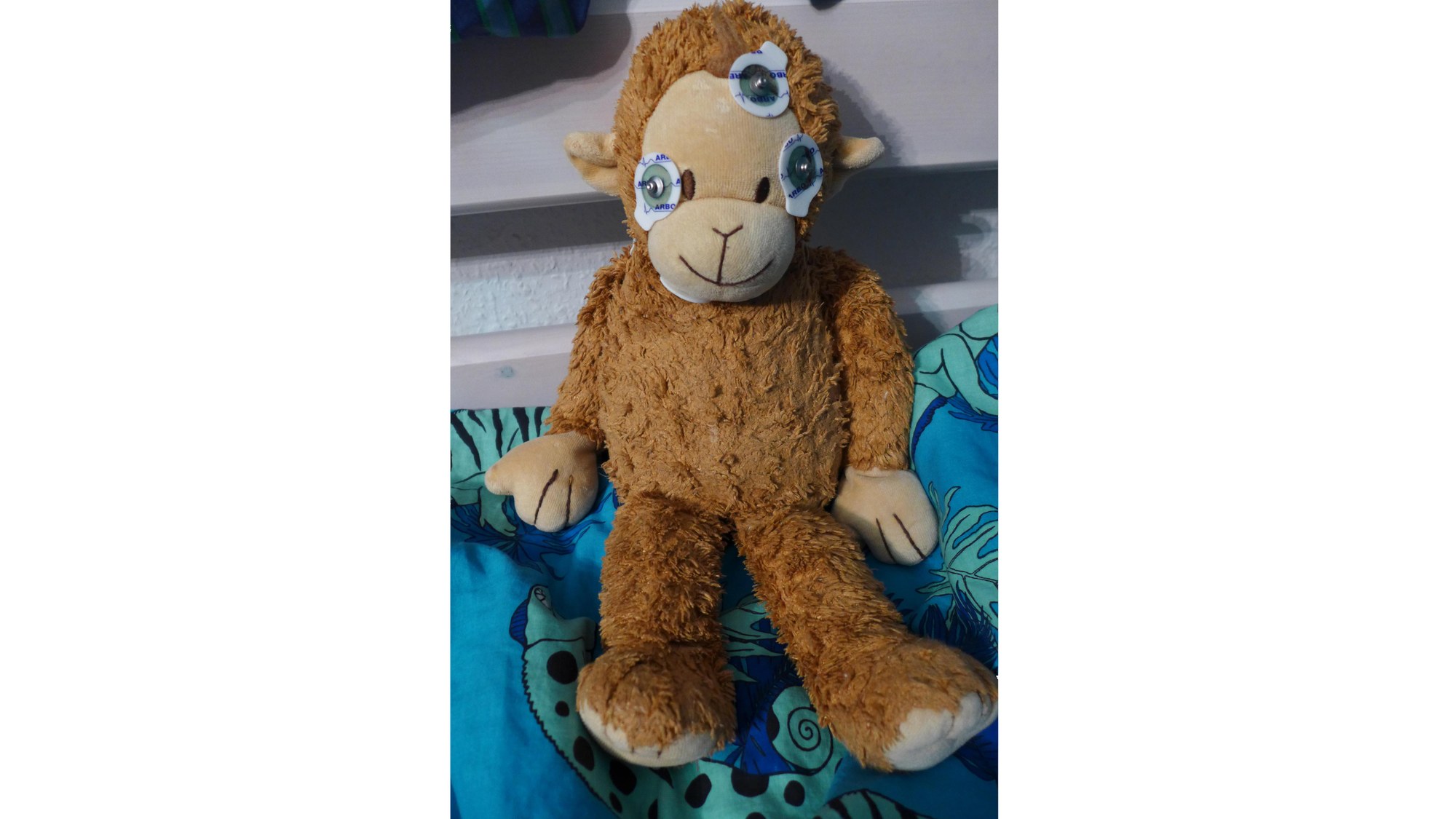 Stuffed animal with electrodes